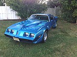 1980 Pontiac Firebird Trans Am Photo #2