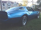 1980 Pontiac Firebird Trans Am Photo #7