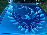 1980 Pontiac Firebird Trans Am Photo #17