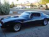 1979 Pontiac Firebird Trans Am Photo #2