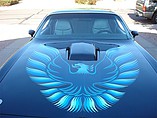 1979 Pontiac Firebird Trans Am Photo #5