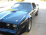 1979 Pontiac Firebird Trans Am Photo #6