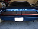 1979 Pontiac Firebird Trans Am Photo #7