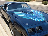 1979 Pontiac Firebird Trans Am Photo #22