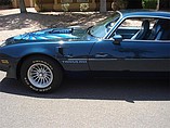 1979 Pontiac Firebird Trans Am Photo #23