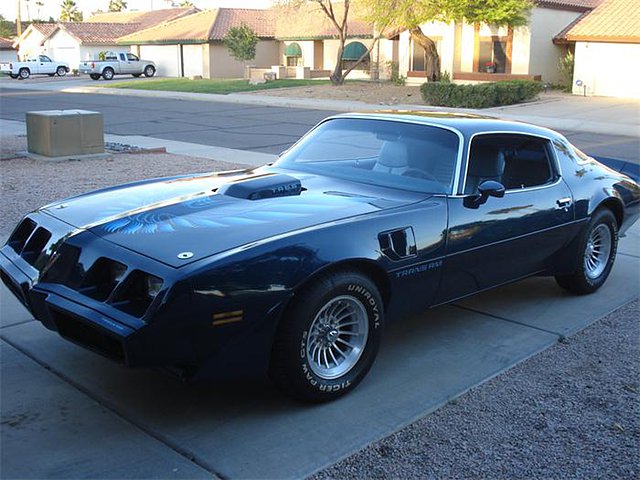 1979 Pontiac Firebird Trans Am Photo