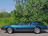 1979 Pontiac Firebird Photo #2