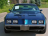 1979 Pontiac Firebird Photo #8