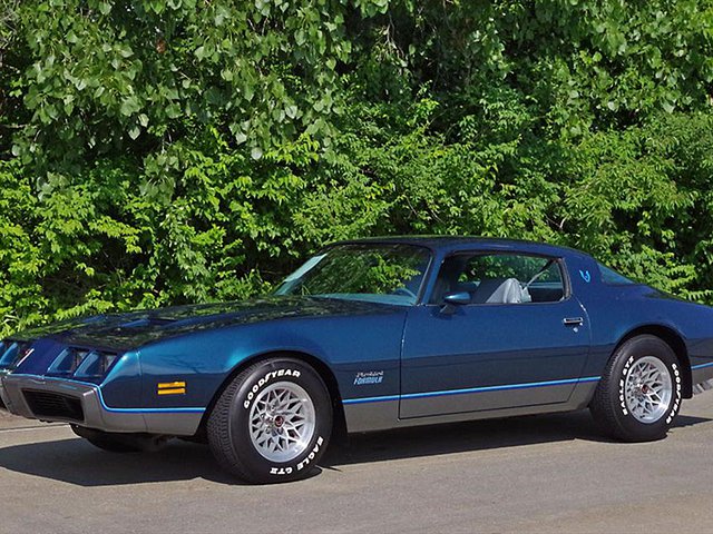 1979 Pontiac Firebird Photo