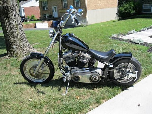 2002 Harley Davidson Custom Chopper Photo