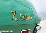 1971 Ford Torino Cobra Photo #5
