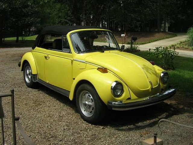 1979 Volkswagen Beetle Photo