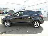 2014 Ford Escape Photo #3