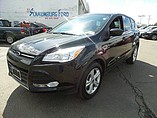 2014 Ford Escape Photo #5