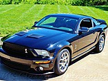 2007 Ford Mustang Cobra Photo #11