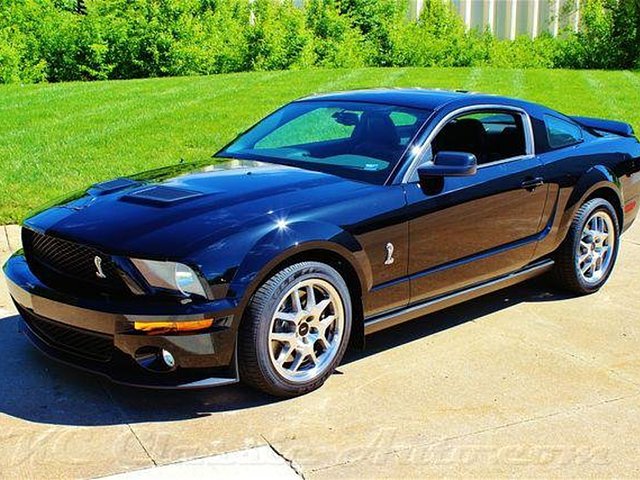 2007 Ford Mustang Cobra Photo