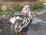 1989 Harley-Davidson Softail Photo #6