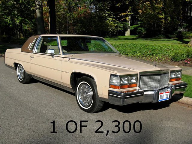 1980 Cadillac Fleetwood Photo