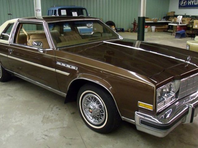 1979 Buick Electra 225 Photo