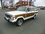 1989 Jeep Grand Wagoneer Photo #1