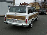 1989 Jeep Grand Wagoneer Photo #6