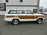 1989 Jeep Grand Wagoneer Photo #8