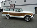 1989 Jeep Grand Wagoneer Photo #9