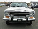 1989 Jeep Grand Wagoneer Photo #11