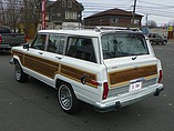 1989 Jeep Grand Wagoneer Photo #15