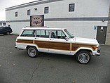 1989 Jeep Grand Wagoneer Photo #19