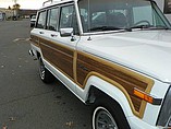 1989 Jeep Grand Wagoneer Photo #21