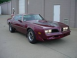 1978 Pontiac Trans Am Photo #2