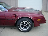 1978 Pontiac Trans Am Photo #6