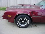 1978 Pontiac Trans Am Photo #20