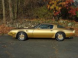 1979 Pontiac Trans Am Photo #1