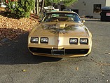 1979 Pontiac Trans Am Photo #3