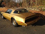 1979 Pontiac Trans Am Photo #4