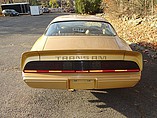 1979 Pontiac Trans Am Photo #6