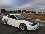 1999 Ford Mustang SVT Photo #1