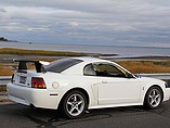 1999 Ford Mustang SVT Photo #28