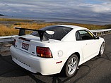 1999 Ford Mustang SVT Photo #34