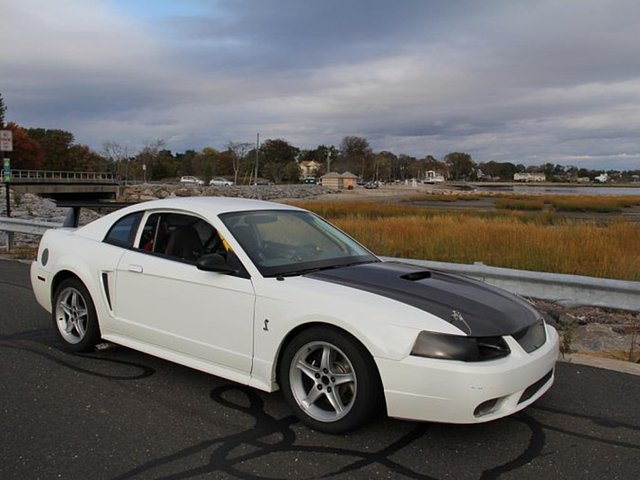 1999 Ford Mustang SVT Photo