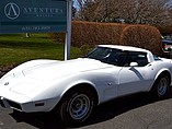 1978 Chevrolet Corvette Photo #14