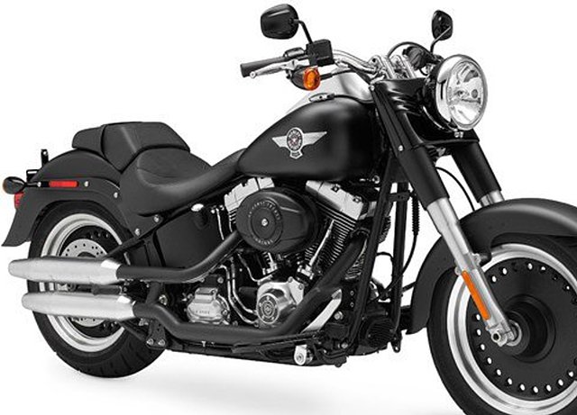 2010 Harley-Davidson Softail Photo