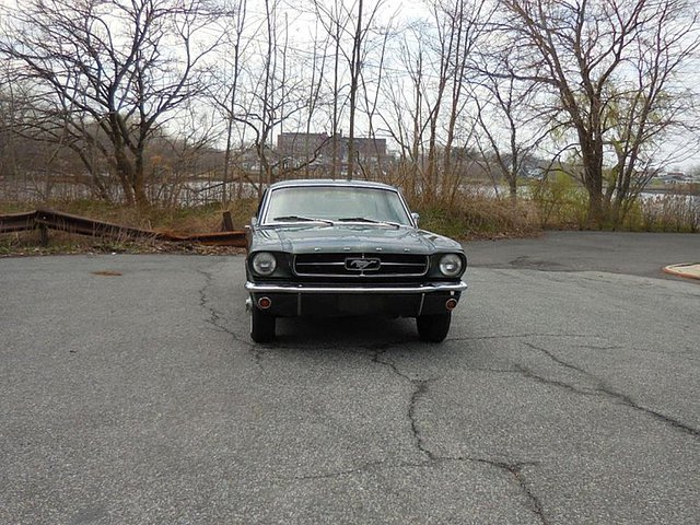 1965 Ford Mustang Photo