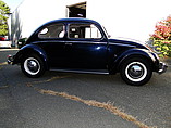 1953 Volkswagen Beetle Photo #4