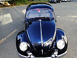 1953 Volkswagen Beetle Photo #8